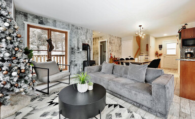 Chalet, Décoration D'intérieur, Meubles, Table, Canapé, Salon, Décorations De Noël