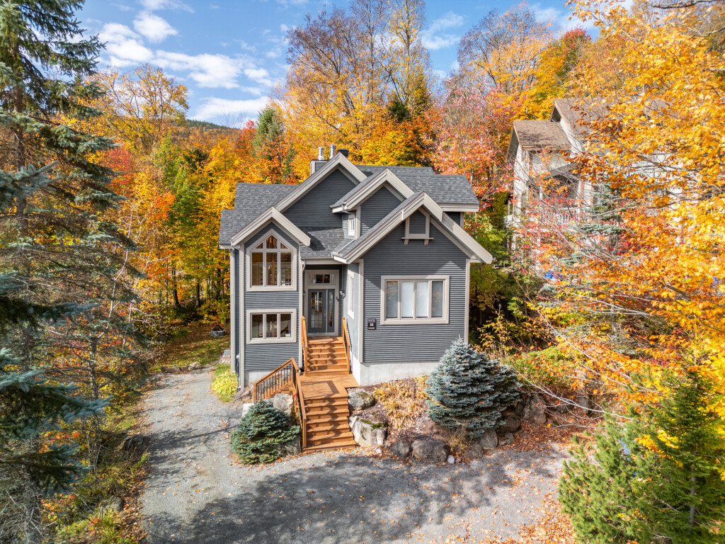 Nature,, Plant, Tree, Housing, Fir, House, Autumn