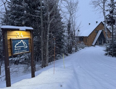 Cottage, Outdoors, Shelter, Tree, Fir, Hotel, Housing