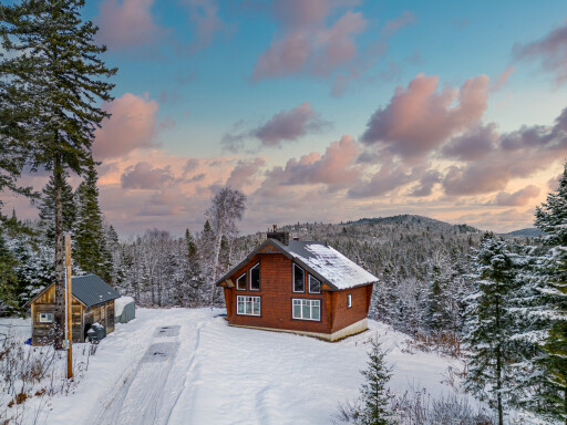 Nature, Abri, Sapin, Arbre, Cabane, Nature, Logement