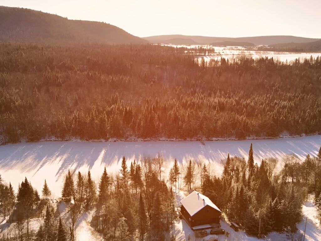 Nature, Arbre, Sapin, Bâtiment, Abri, Paysage, Végétation