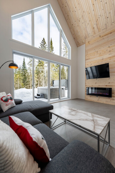 Nature,, Interior Design, Living Room, Couch, Coffee Table, Computer Hardware, Monitor