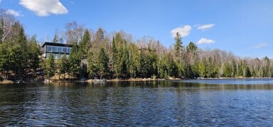 Québec, Nature, Plein Air, Paysage, Paysage, Sapin, Bord De Lac