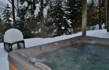 Québec, Hot Tub, Tub, Plant, Tree