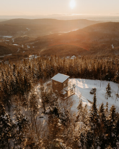 Québec, Arbre, Sapin, Extérieur, Abri, Cabane, Nature