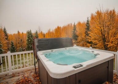Québec, Baignoire, Bain À Remous, Plante, Arbre