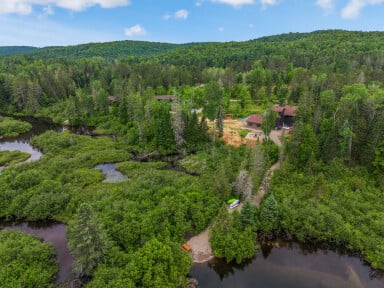 Canada, Arbre, Sapin, Végétation, Terrain, Extérieur, Bois