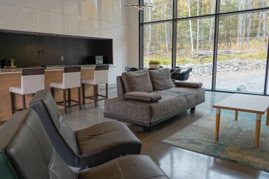 Nature,, Furniture, Plant, Home Decor, Rug, Indoors, Couch