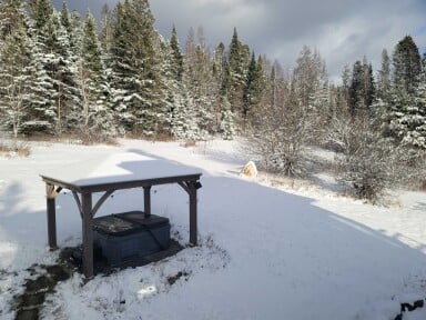 Chalet, À L'extérieur, Abri, Arbre, Sapin, Paysage, Végétation