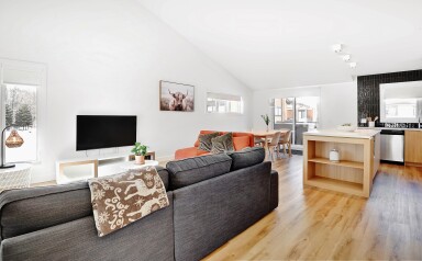 Québec, Salon, Design D'intérieur, Décoration D'intérieur, Canapé, Moniteur, Écran