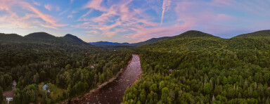 Nature, Arbre, Route, Végétation, Terrain, Extérieur, Bois