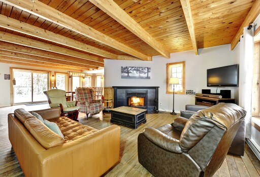 Nature,, Interior Design, Fireplace, Wood, Living Room, Couch, Monitor