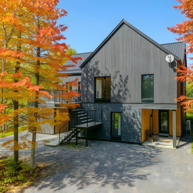 Québec, Feuille, Plante, Arbre, Abri, Automne, Logement