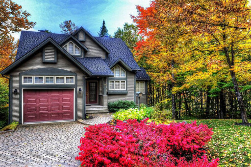 Nature,, Door, Autumn