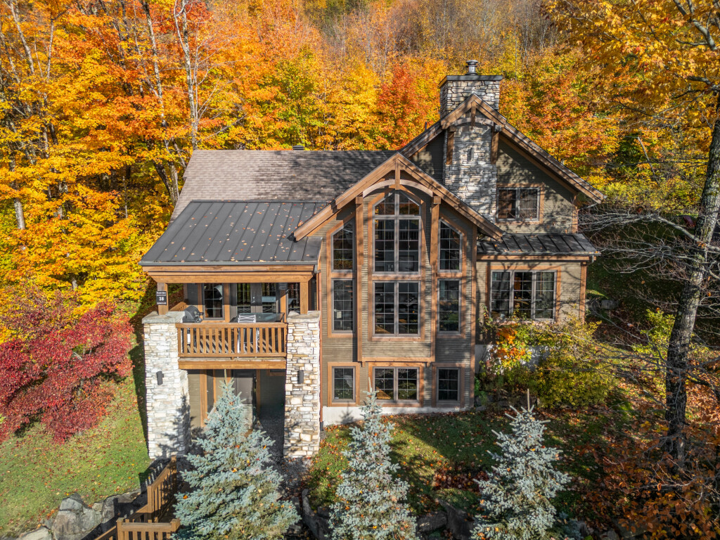 Nature,, Plant, Tree, Building, Housing, House, Autumn