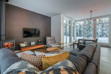 Chalet, Décoration D'intérieur, Salon, Canapé, Design D'intérieur, Chaise, Plante