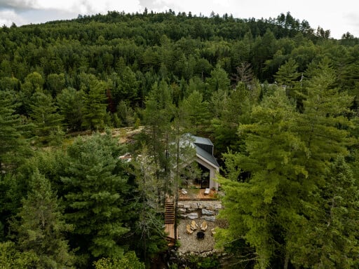 Nature,, Tree, Fir, Conifer, Vegetation, Pine, Building