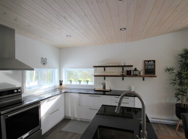 Canada, Indoors, Interior Design, Kitchen, Sink Faucet, Plant, Rug