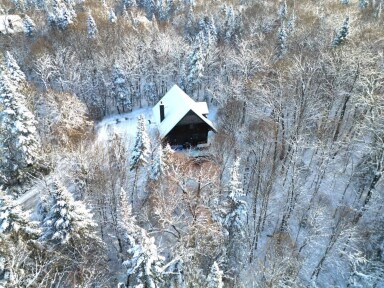 Cottage, Outdoors, Shelter, Vegetation, Housing, Tree, Woodland
