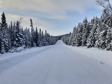 Canada, Arbre, Sapin, Route, Paysage, Conifère, Pin