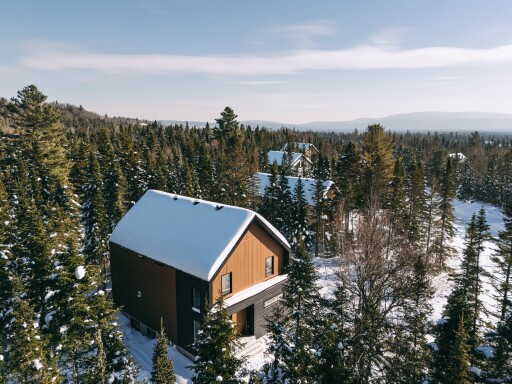 Nature,, Tree, Shelter, Fir, Housing, Scenery, House