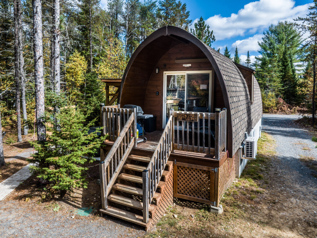 Nature, Logement, Maison, Cabane, Abri, Cabane Dans Les Bois, Arbre