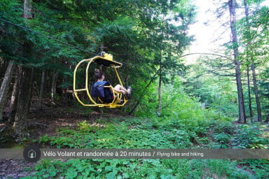 Québec, Végétation, Terre, Extérieur, Forêt Tropicale, Forêt, Personne