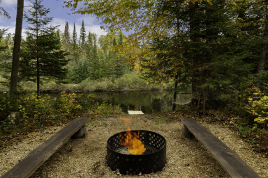 Nature, Arbre, Sapin, Végétation, Flamme, Banc, Bois