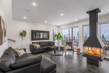 Chalet, Salon, Décoration D'intérieur, Cheminée, Design D'intérieur, Plante, Canapé