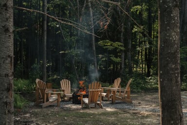 Québec, Vegetation, Tree, Wood, Chair, Land, Woodland