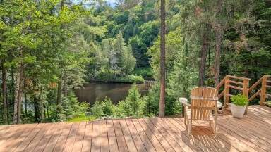 Canada, Nature, Plein Air, Paysage, Bord De Lac, Chaise, Plante