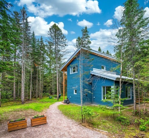 Nature, Usine, Logement, Maison, Chalet, Cabane, Cabane Dans Les Bois