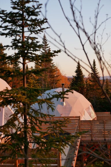 Cottage, Tree, Fir, Outdoors, Shelter, Conifer, Tent