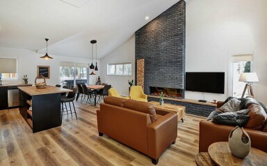 Chalet, Décoration D'intérieur, Design D'intérieur, Meubles, Table, Plante, Canapé