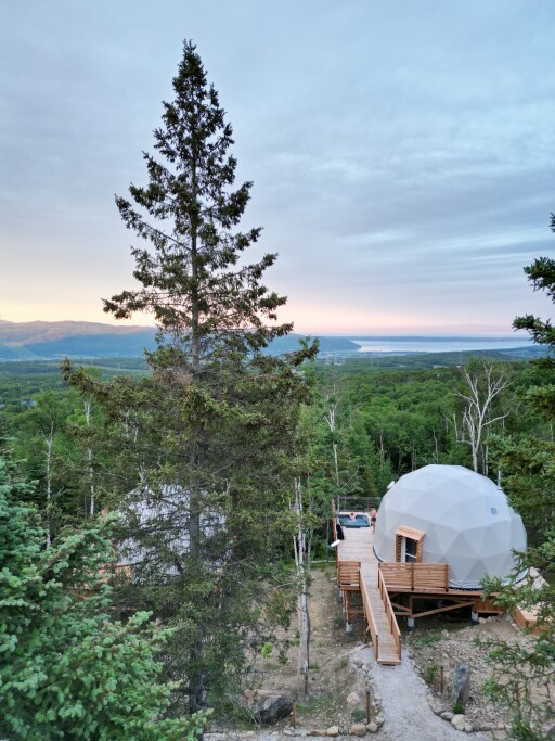 Nature,, Outdoors, Shelter, Tree, Fir, Conifer, Person