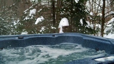 Québec, Tub, Hot Tub, Plant, Tree, Vegetation, Bathing