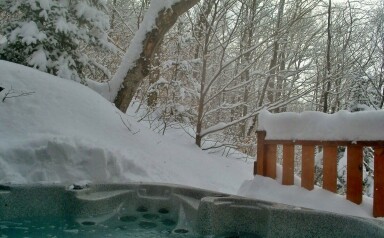 Canada, Tree, Nature, Outdoors, Scenery, Vegetation, Hot Tub