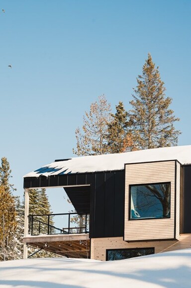 Chalet, Abri, Logement, Design D'intérieur, Arbre, Maison, Oiseau