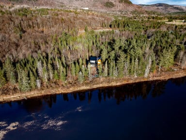 Canada, Tree, Fir, Conifer, Wilderness, Vegetation, Land