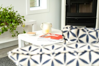 Cottage, Interior Design, Living Room, Coffee Table, Table, Plant, Potted Plant