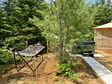 Québec, Shelter, Tree, Scenery, Backyard, Vegetation, Garden