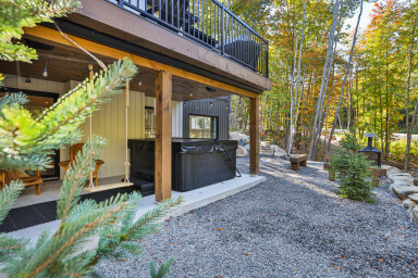 Canada, Tree, Road, Path, Gravel, Bench, Conifer