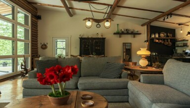 Nature,, Home Decor, Living Room, Couch, Interior Design, Table, Cushion
