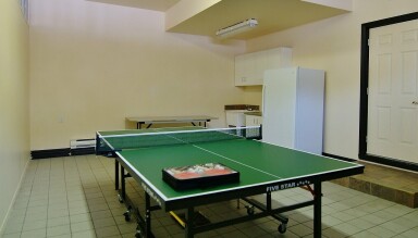 Nature,, Ping Pong, Sport