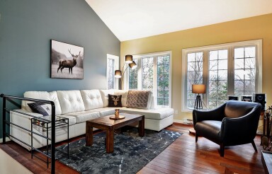 Nature,, Living Room, Home Decor, Couch, Speaker, Lamp, Table