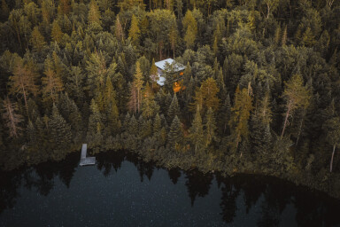 Québec, Arbre, Sapin, Végétation, Conifère, Terre, Extérieur