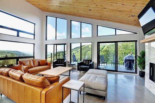 Nature, Penthouse, Design D'intérieur, Chaise, Décoration D'intérieur, Salon, Canapé
