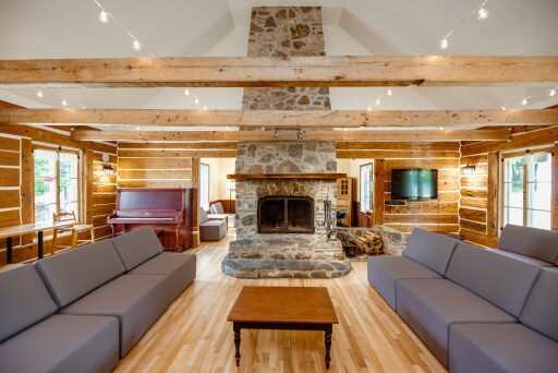 Nature, Intérieur, Design D'intérieur, Bois, Piano, Cheminée, Salon