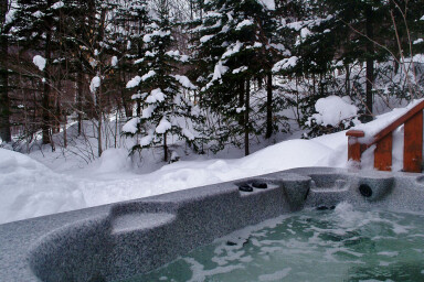 Québec, Hot Tub, Tub, Plant, Tree