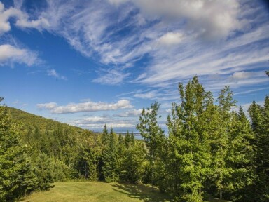 Canada, Végétation, Ciel, Arbre, Nuage, Forêt, Paysage